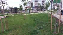 Kulakları ve ayakları kesilmiş kedi bulundu - ŞANLIURFA