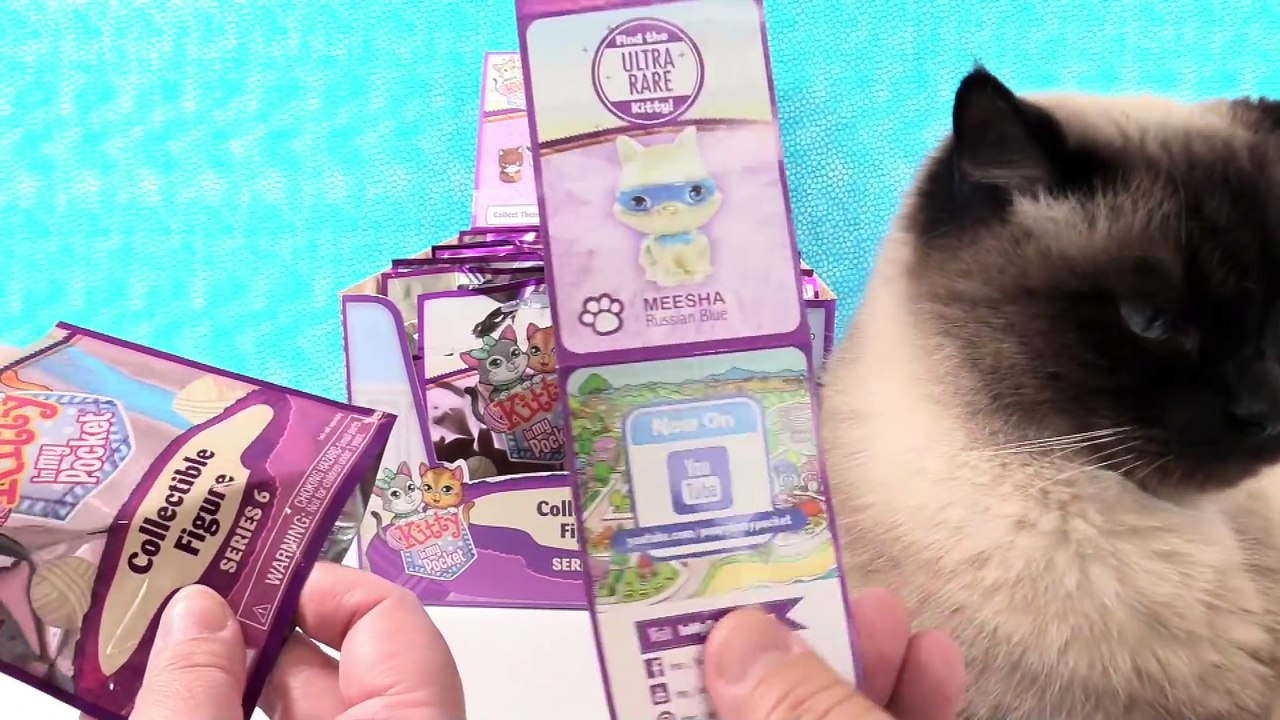 Kitty In My Pocket Series 6 Full Box Toy Opening _ PSToyReviews