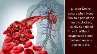 Heart Attack vs Heart Stroke – Risk Factors and Diagnosys
