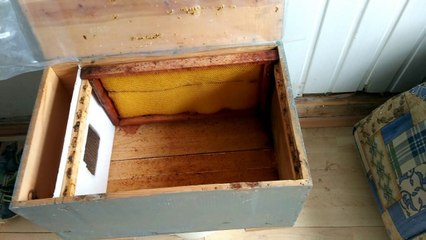 Kolay Arı Kovan Yapımı