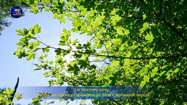 Восточная Молния | Евангелие дня «Истинный ли ты верующий?»