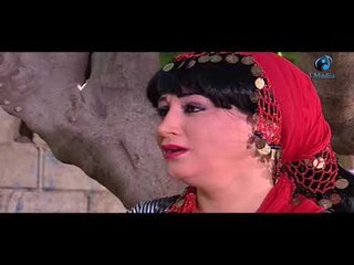 الست بتقول لجوزها انت دخلتك عليا ب 100 حمار