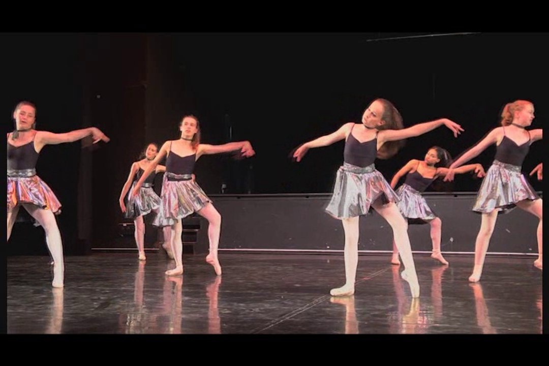 Gala 2016-2-14-Flight of the Silver Bird