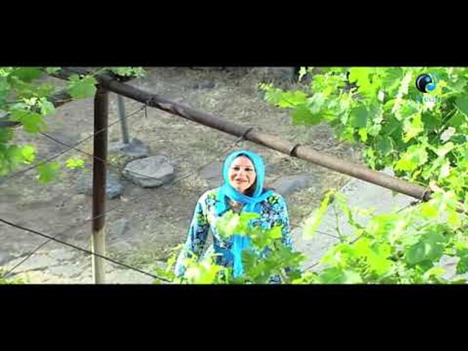 درويش حزين بسبب اختفاء توفيقة