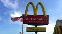 Dog Pretends To Be A Stray So McDonald's Customers Will Give Her Hamburgers