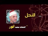 القران الكريم بصوت الشيخ الشحات محمد انور| سورة النحل