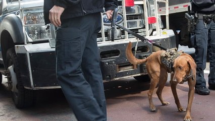 Obama among former US officials targeted in 'act of terror'