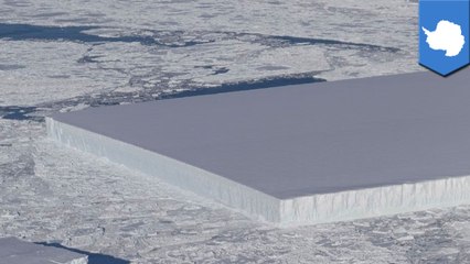 NASA spots perfectly rectangular iceberg in Antarctica