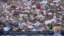 Cotons-tiges, pailles, couverts... Les eurodéputés votent l'interdiction des plastiques à usage unique
