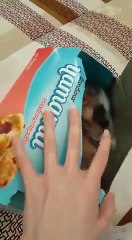 Sweet kitten trapped in a blue box!