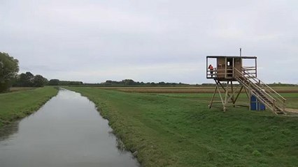 Már nem lehet átkelni mindenhol Burgenlandnál