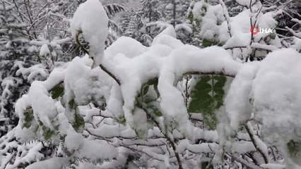 Bolu'ya Mevsimin İlk Karı Düştü