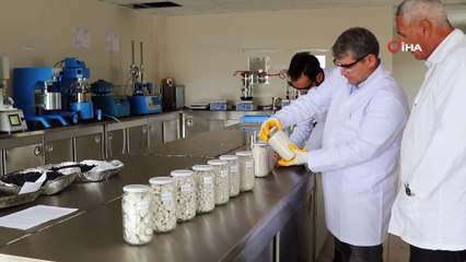 Van Büyükşehir Belediyesi modern asfalt laboratuvarını kurdu