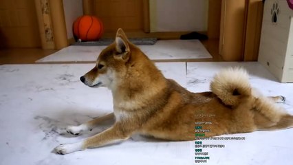 수원 권선구출장안마【카톡AVT285】수원 권선구맛사지【O7O-7575-OO62】 수원 권선구마사지 섹시한관리사 수원 권선구안마 수원 권선구안마⊥수원 권선구여대생출장∵수원 권선구모텔출장♩수원 권선구출장샵