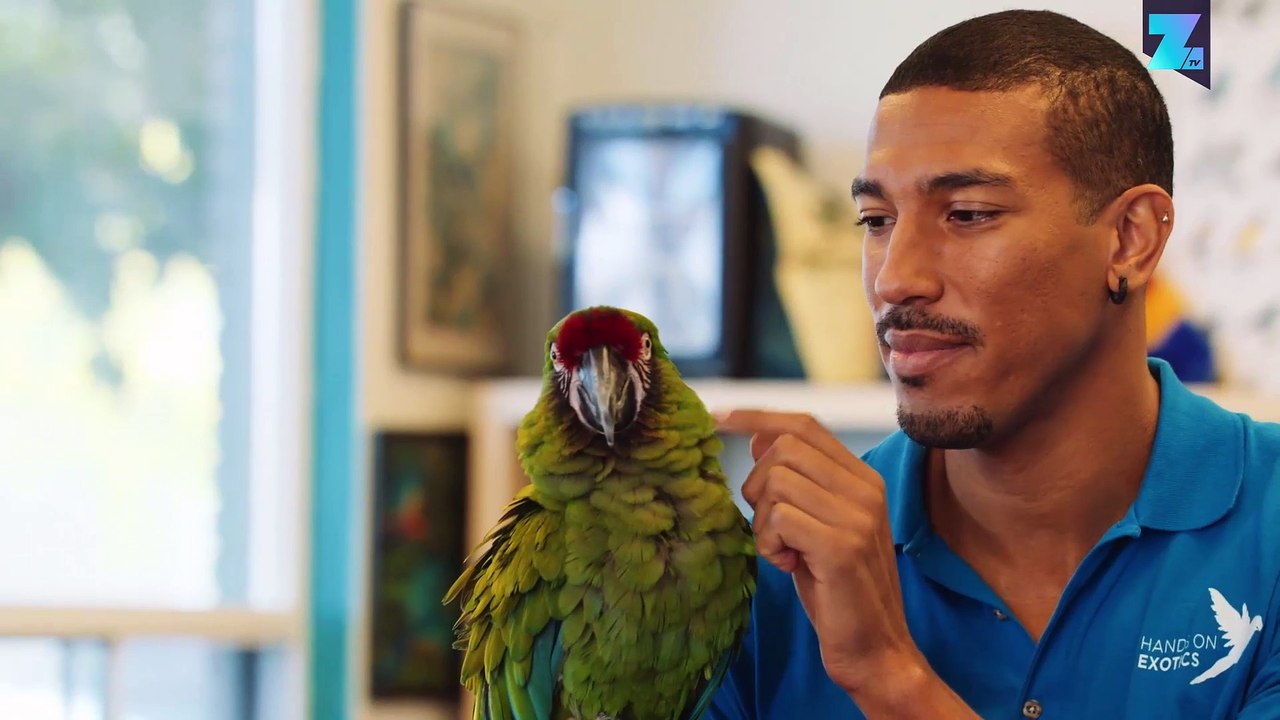 Wie ein Papagei das Leben dieser Omi veränderte