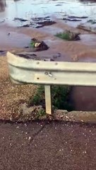 Puglia: ecco cosa succede quando esonda il fiume Asso