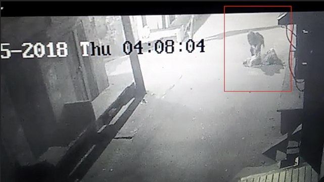 यूपी: तड़के घर से बाहर निकली महिला को गोलियों से भूना, मौत