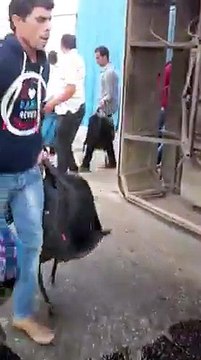 إصابة 8 تلاميذ فى انقلاب أتوبيس مدارس بمدينة الرحاب ( فيديو)