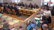 Budget du ministère des sports : l'audition de roxana maracineanu   - Les matins du Sénat (25/10/2018)