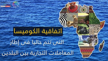 شاهد في دقيقة ..أهم الاتفاقات التجارية بين مصر والسودان