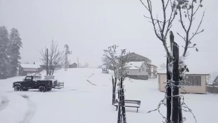 Sakarya ve Düzce'de Mevsimin İlk Karı Yüksek Kesimlere Düştü
