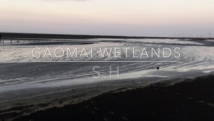 Gaomei Wetlands, Taichung, Taiwan, Oct 2018