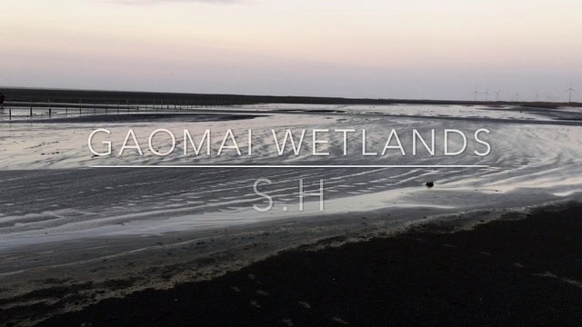 Gaomei Wetlands, Taichung, Taiwan, Oct 2018
