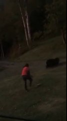 Скачать видео: Un énorme grizzly charge un homme qui lui tire dessus avec son fusil (Canada)