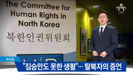 “北 해외 노동자, 짐승만도 못한 생활”…탈북자 증언
