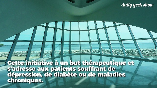 Au Canada, des médecins pourront prescrire des visites au musée