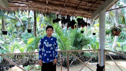 Truy sát cặp rắn Hổ Ngựa vô nhà đẻ trứng giữa đêm khuya - Hương vị đồng quê - Bến Tre - Miền Tây