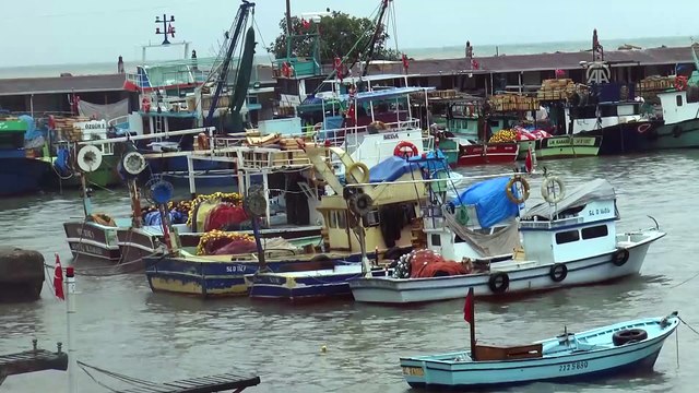 Batı Karadeniz'de kuvvetli rüzgar - DÜZCE