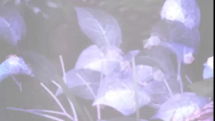 창원출장마사지{카톡SZX77} [Ø7ØX7575XØØ77]【20대에이스】창원출장안마 창원출장안마 출장안마코스 창원출장안마 창원출장마사지-황제 창원출장마사지- 창원콜걸.