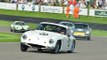Goodwood Revival 2014 Race Highlights | Fordwater Trophy