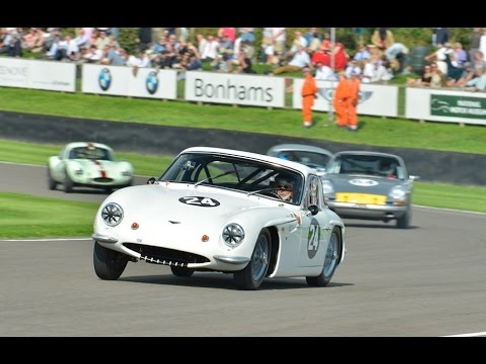 Goodwood Revival 2014 Race Highlights | Fordwater Trophy