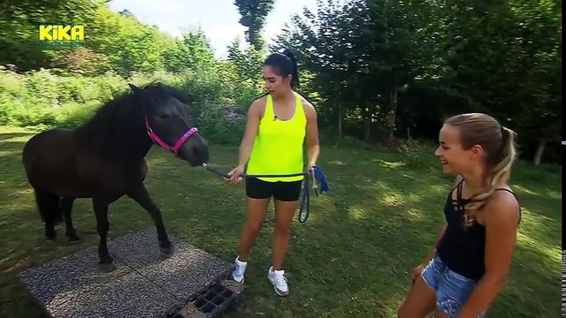 KiKA LIVE - KiKA LIVE Dein Hobby: Pferde-YouTube | Mehr auf KiKA.de