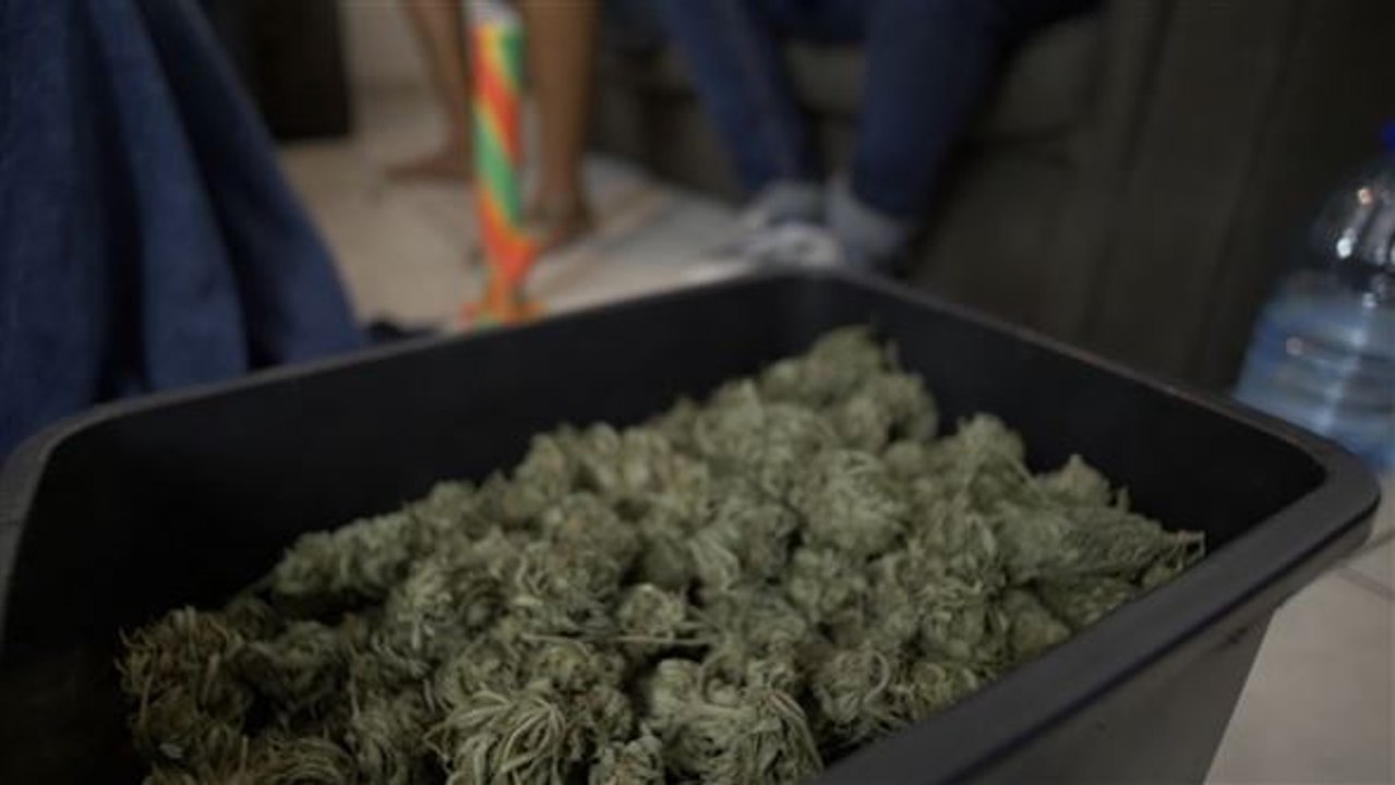 Die Schattenseiten der Cannabis-Legalisierung