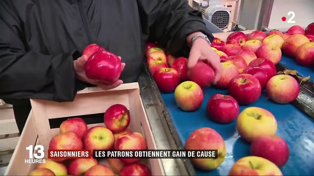 Saisonniers : l'exonération de charges est maintenue