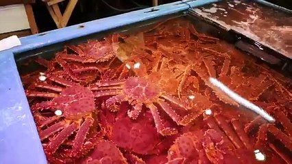 Japanese Street Food - DRAGON FISH SASHIMI Sailfin Poacher Japan Seafood
