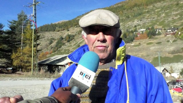 Hautes-Alpes: un troupeau de 250 bovins en transhumance entre Abriès et Aiguilles ce jeudi