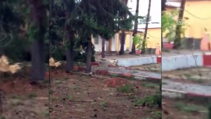 Şiddetli rüzgar nedeniyle ağaçlar ve elektrik direkleri devrildi - ADANA