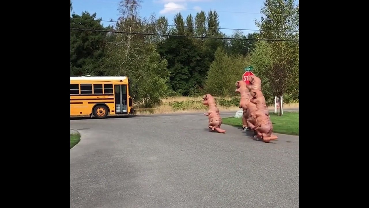 Family's T-Rex Surprise For Little Girl