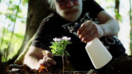 esvedeyn - Gelmez Yola Gidiyorum