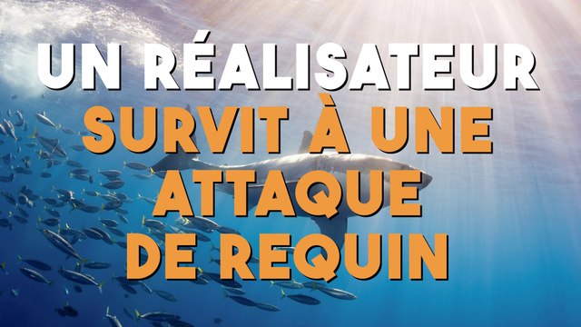 Le réalisateur Ron Eliott survit à une attaque de requin !