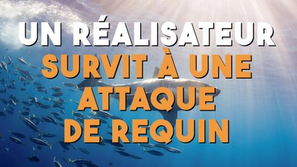 Le réalisateur Ron Eliott survit à une attaque de requin !