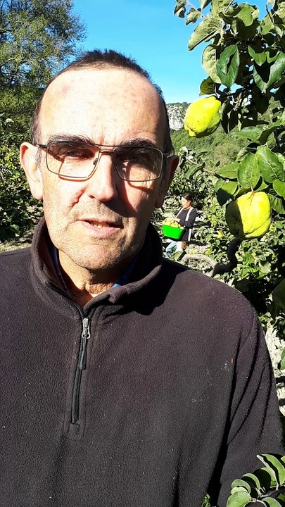 Hervé Roux, producteur de coings, travaille à la création d'une IGP entre Drôme, Vaucluse et Hautes-Alpes