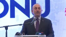 Bakan Çavuşoğlu: 