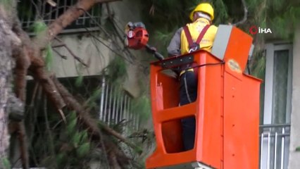 Aydın’da fırtına hayatı olumsuz etkiledi