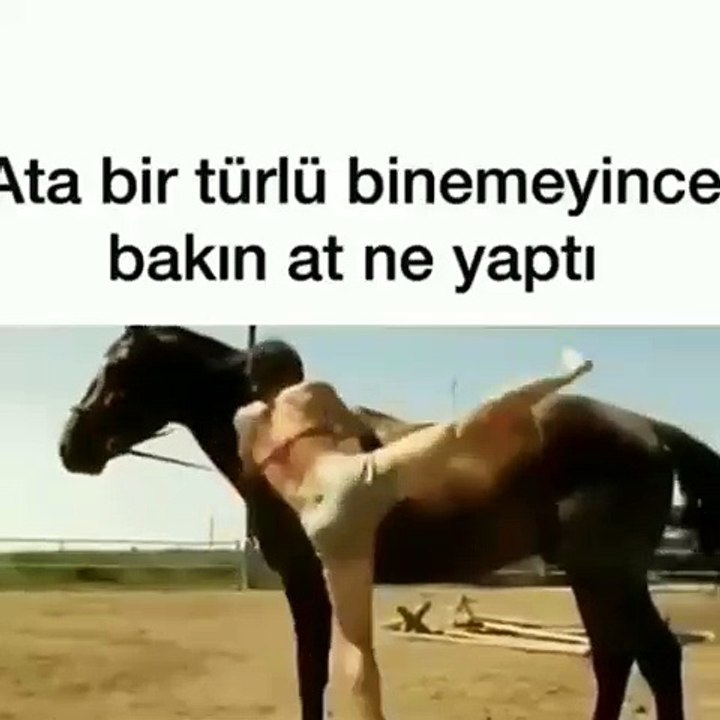 KIZ ATA BINEMEYINCEBAKIN AT NE YAPTI