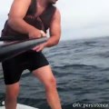 Ce pêcheur saute sur une baleine pour la libérer d'un filet de pêche !